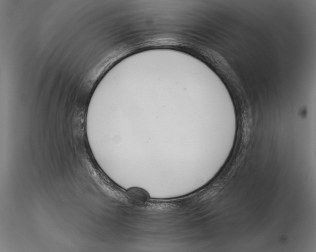 X0000115261225200912111132