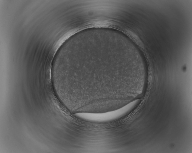 X0000115261226200912111132