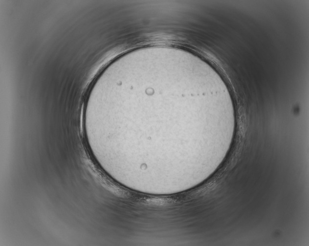 X0000115261227200912111132