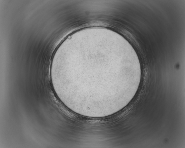 X0000115261228200912111132