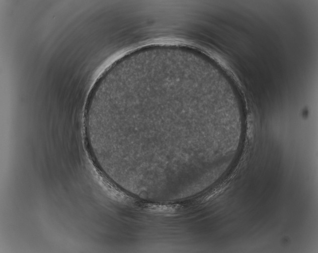 X0000115261229200912111132