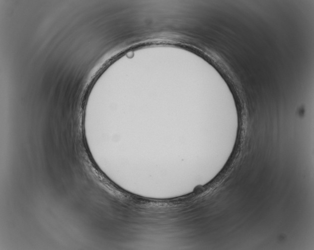 X0000115261232200912111132