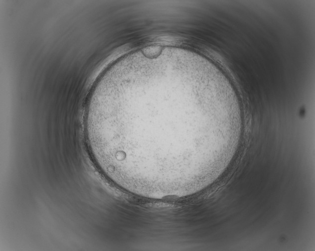 X0000115261235200912111132