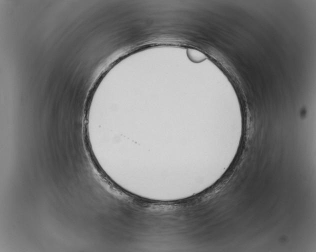 X0000115261237200912111132