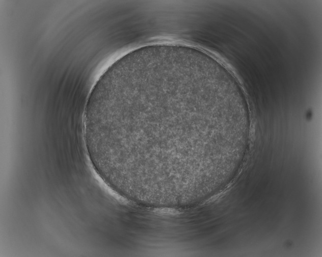 X0000115261239200912111132