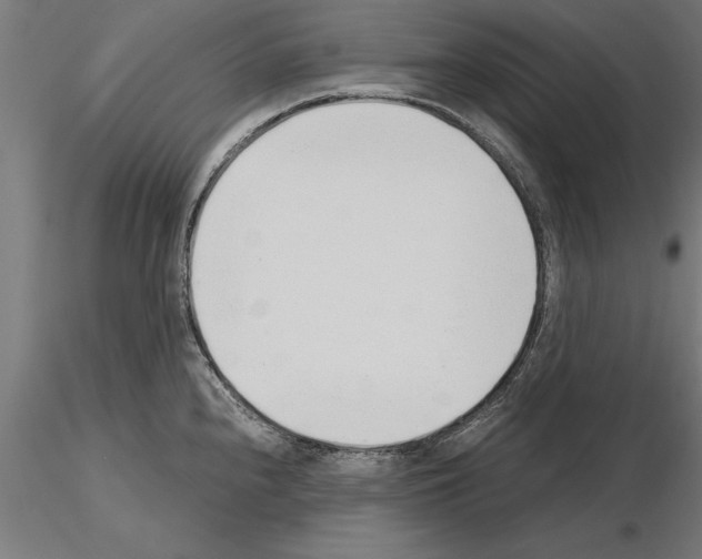 X0000115261240200912111132