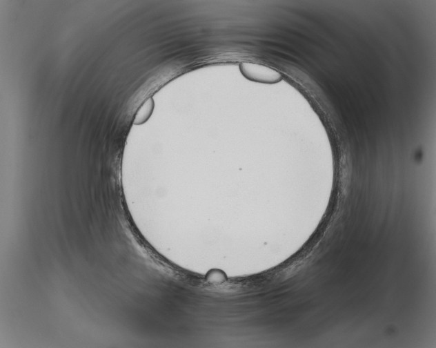 X0000115261241200912111132