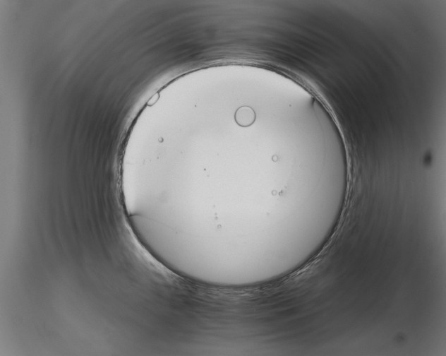 X0000115261243200912111133