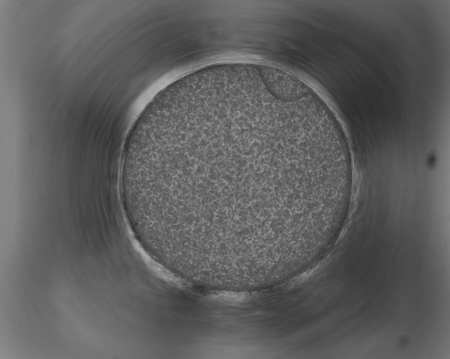 X0000115261245200912111133