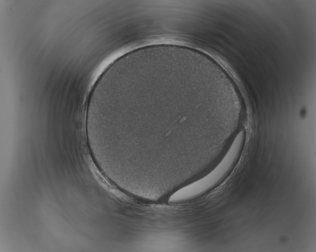 X0000115261246200912111133