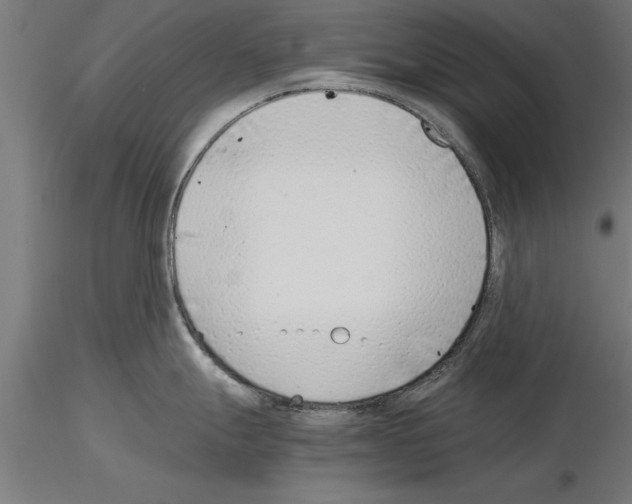 X0000115261247200912111133