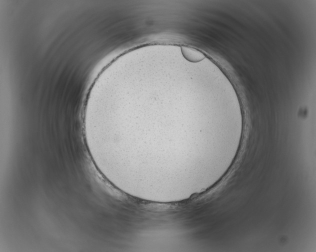 X0000115261248200912111133