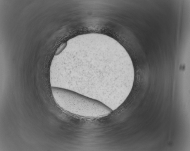 X0000115261249200912111132