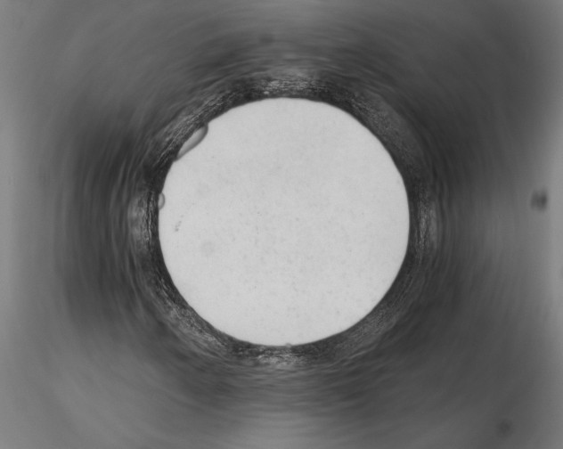 X0000115261250200912111132