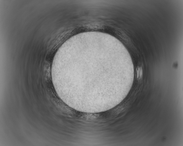 X0000115261251200912111132