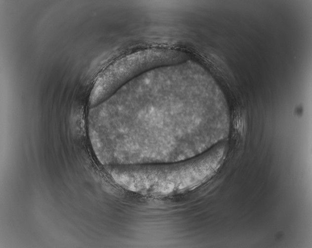 X0000115261252200912111132