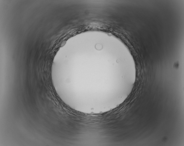 X0000115261253200912111132