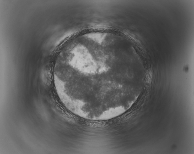 X0000115261254200912111132