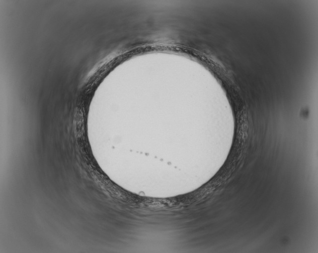 X0000115261255200912111132