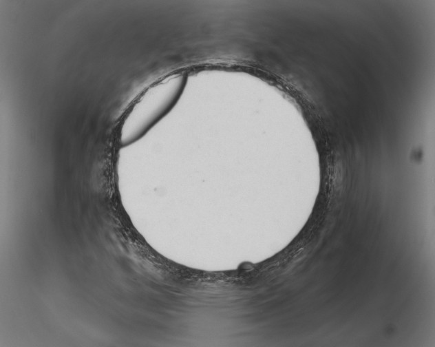 X0000115261256200912111132