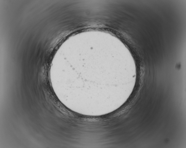 X0000115261257200912111132