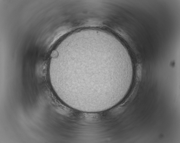 X0000115261258200912111132