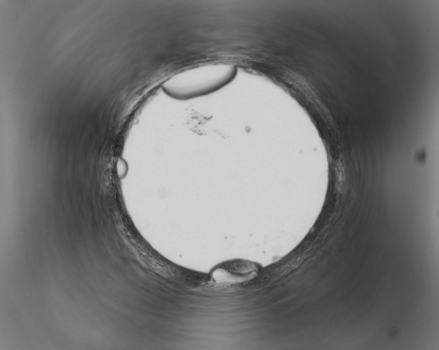 X0000115261260200912111132