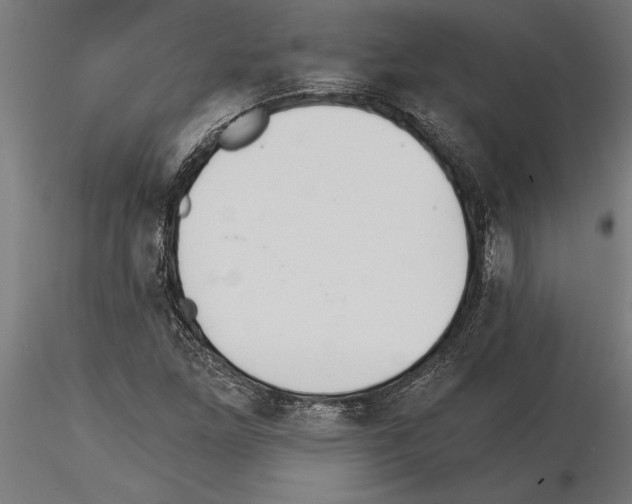 X0000115261261200912111132