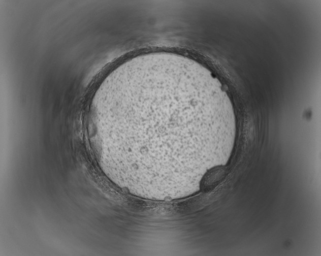 X0000115261262200912111132