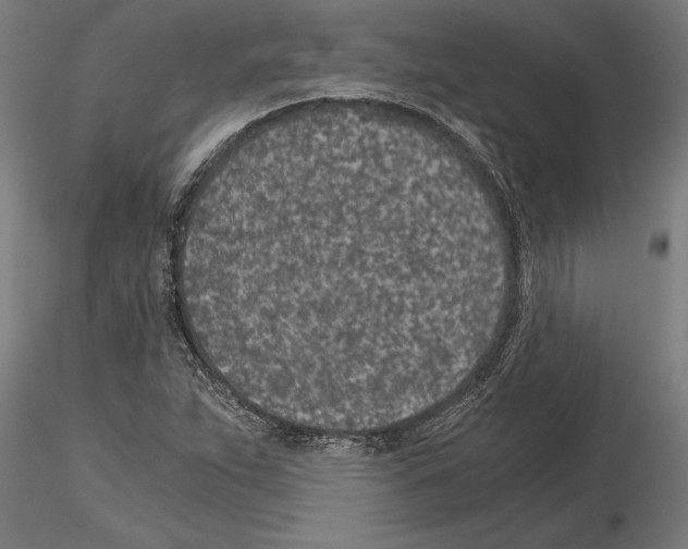 X0000115261263200912111132