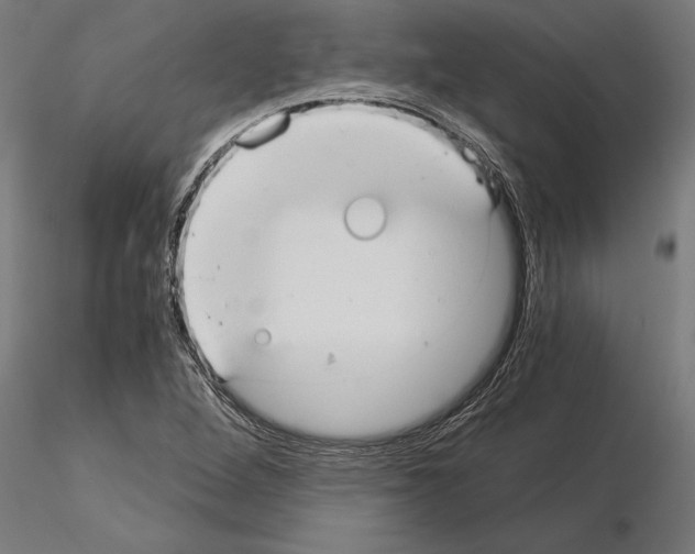 X0000115261264200912111132