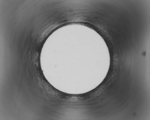 X0000115261265200912111132