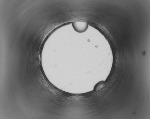 X0000115261268200912111131