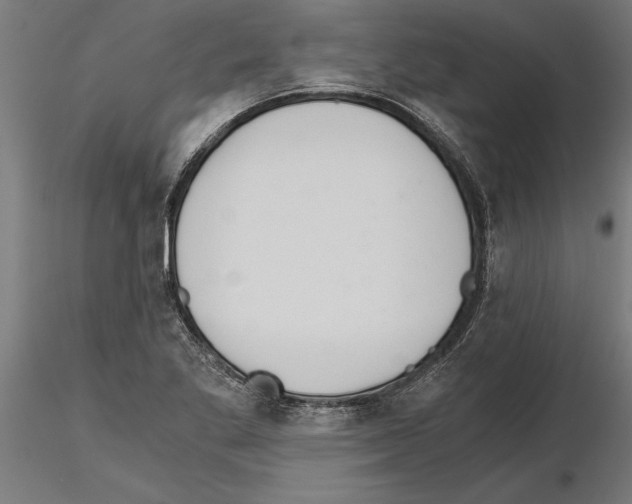 X0000115261269200912111131