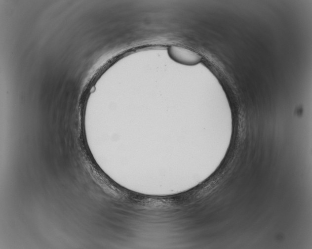 X0000115261270200912111131