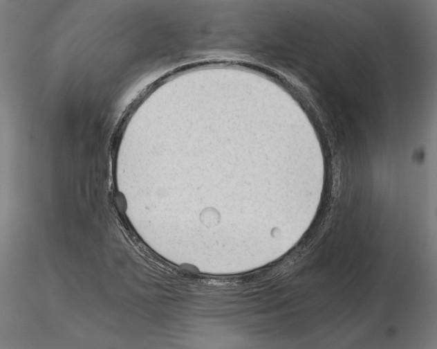 X0000115261271200912111131