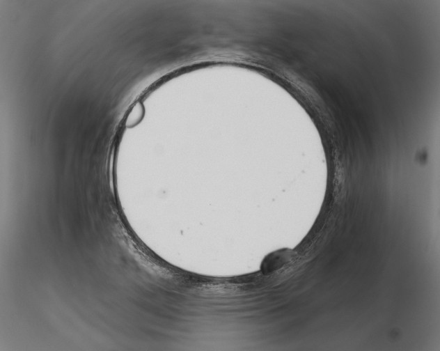 X0000115261272200912111131