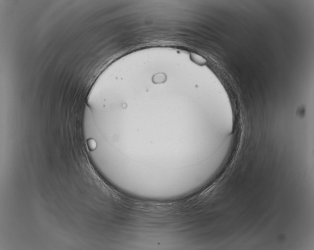 X0000115261273200912111131