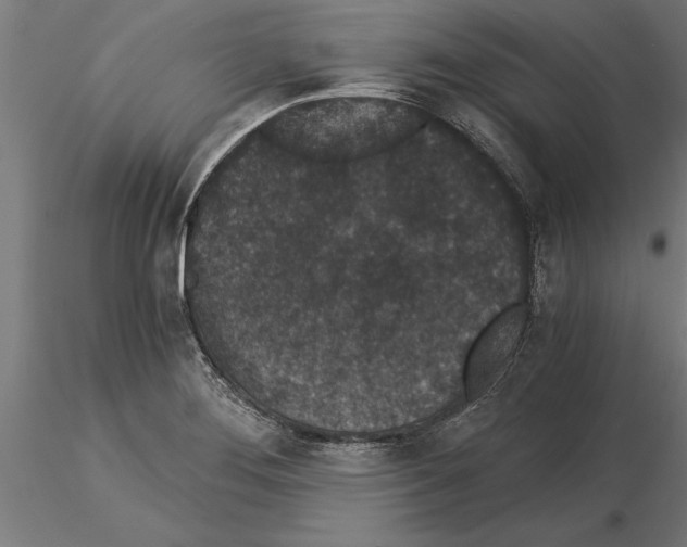 X0000115261276200912111131