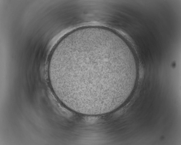 X0000115261278200912111131