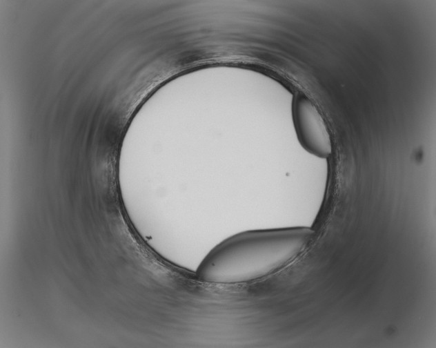 X0000115261281200912111131