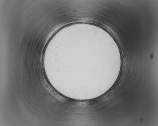 X0000115261283200912111131