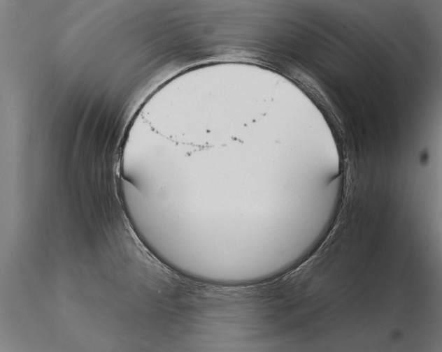 X0000115261284200912111131