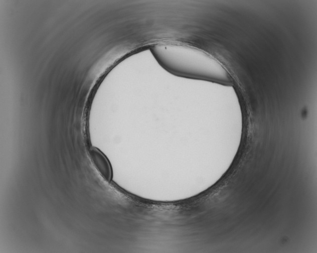 X0000115261285200912111131