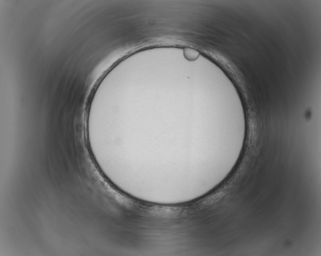 X0000115261286200912111131