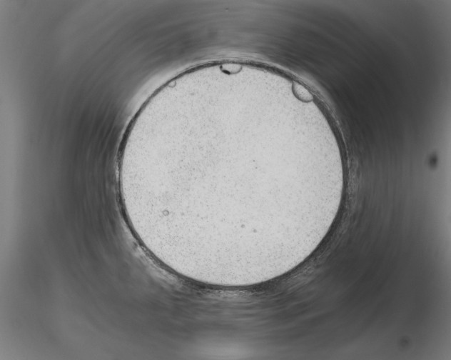 X0000115261287200912111131