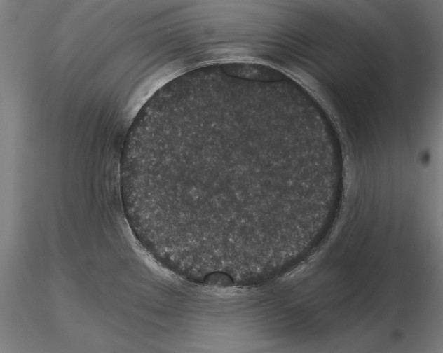 X0000115261289200912111131