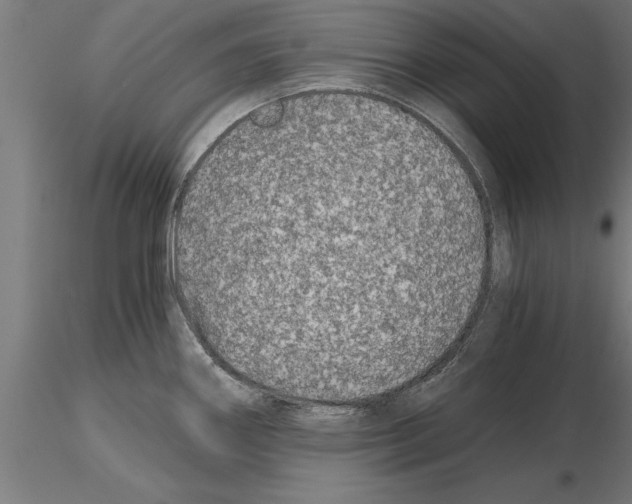 X0000115261290200912111131