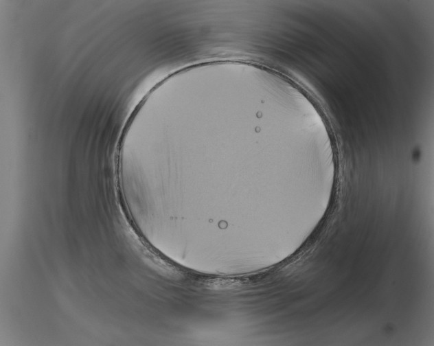 X0000115261291200912111131