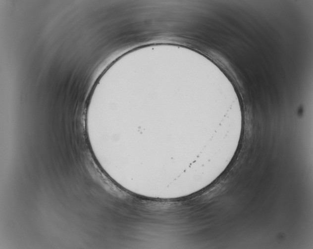 X0000115261292200912111131